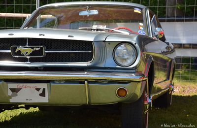 Mustang Nats - circuit des Ecuyers, Beuvardes - Aisne 