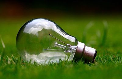 Consommation d’électricité verte en France ; classement de Greenpeace