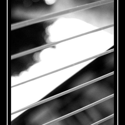 Ciels