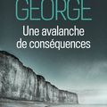 UNE AVALANCHE DE CONSÉQUENCES d'Elisabeth GEORGE