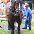 Pour les courageux:la fete du cheval . Samedi,sous la pluie!