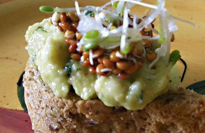 Tartinade de germinations et quinoa germé à la guacamole citron-coriandre.