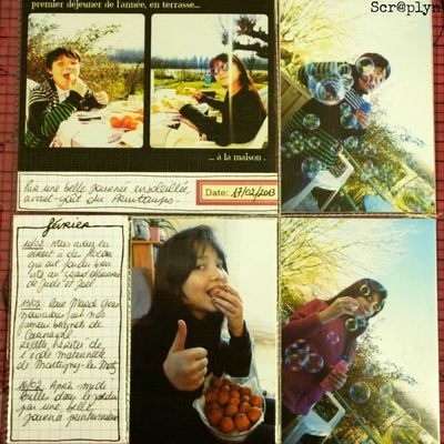 PROJECT LIFE : Février 2013