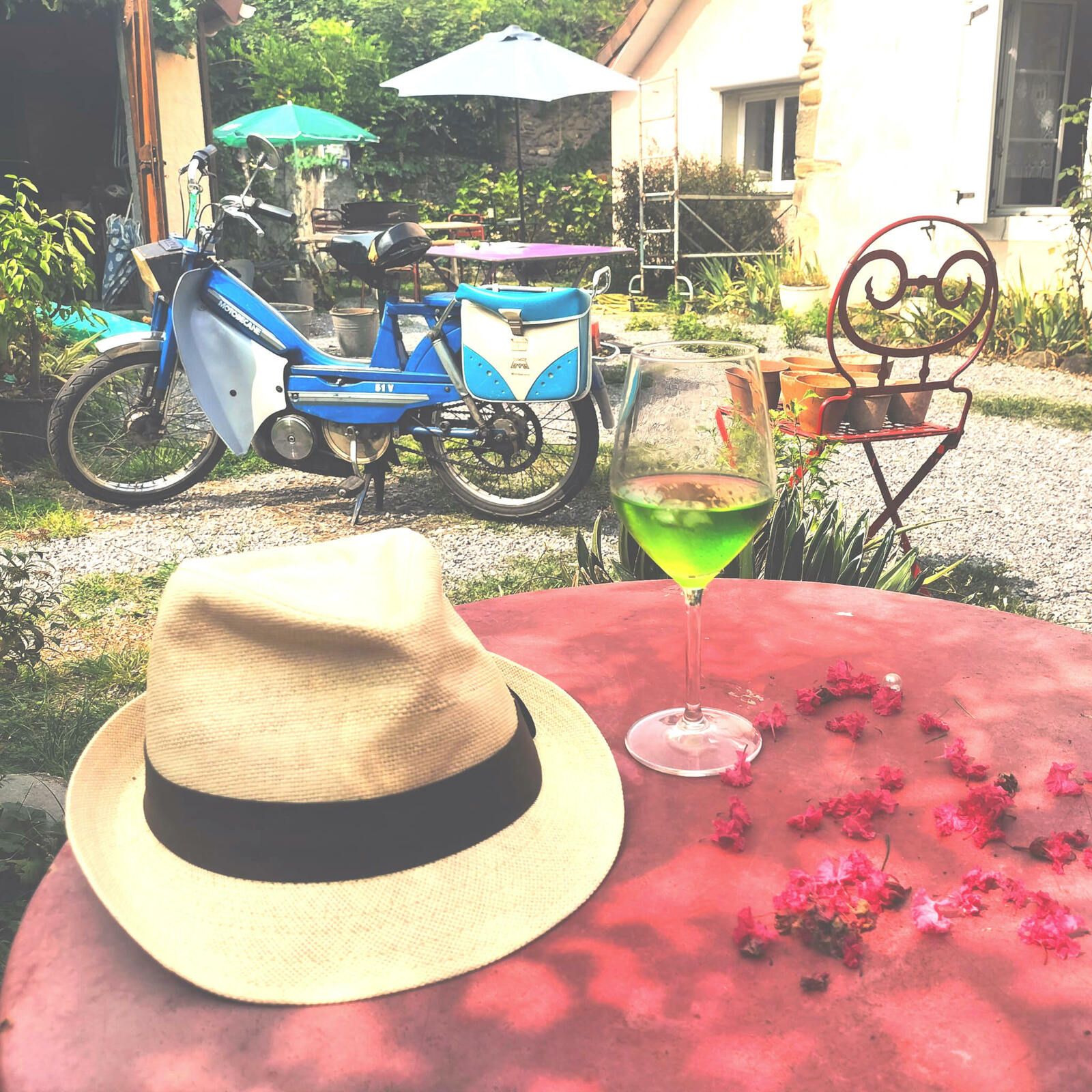 Viellenave-de-navarrenx, couleurs digestives, insta (64)