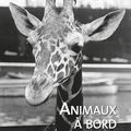 Animaux à bord de Marie-Haude ARZUR - Avis littéraire