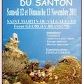 Saint Martin de Valgalgues 2011