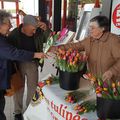 13/04/2019: GUER vente de Tulipes par le CCAS au profit de la Ligue contre le cancer