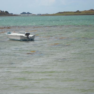 Vouloir un autre lendemain