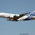Aéroport: Toulouse-Blagnac(TLS-LFBO):  Airbus Industrie: Airbus A380-861: F-WWDD: MSN:004.  Stycker au nez de l'avion IFLY A380.