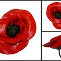 Gentil coquelicot