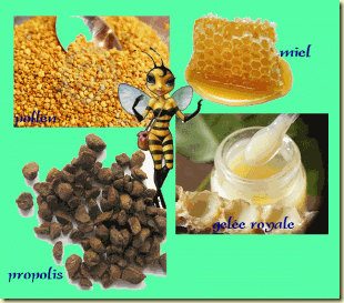 Les produits de la ruche et l&rsquo;apith&eacute;rapie