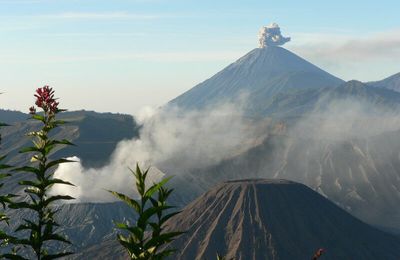 Java: Les "entrailles" de la terre...