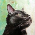 TETE DE CHAT NOIR - HUILE SUR TOILE - 55/46 cm