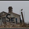 Noirmoutier, le pays du sel