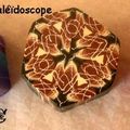 Canes Kaleïdoscope