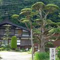 Voyage au Japon - Jour #11 - Une route mythique et j'arrive!