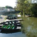 le marais poitevin -ARCAIS -