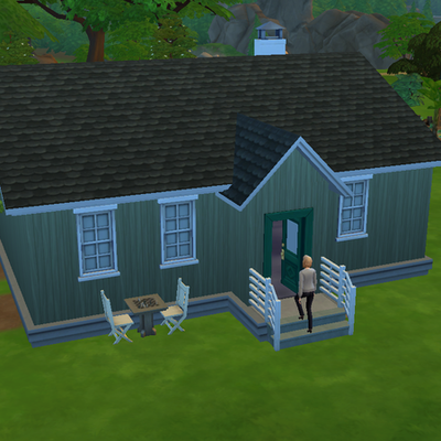 Chapitre 7: Petit à petit, l'oiseau fait son nid