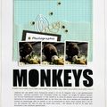 Monkeys