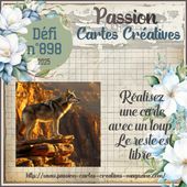 Défi n°898 du jeudi 12 juin 2025 - PASSION CARTES CREATIVES MAGAZINE