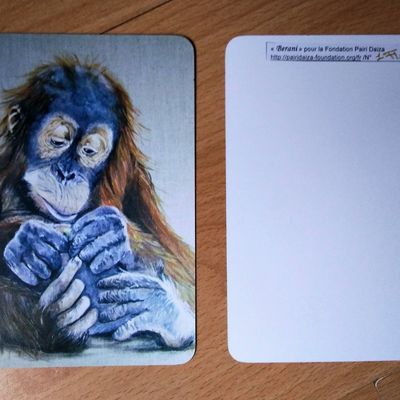 Cartes postales pour la Fondation Pairi Daiza - Berani