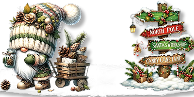 Vœux d'anniversaire et de nouvelle année des copines.