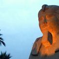 Egyptes : Le Sphinx de Louxor