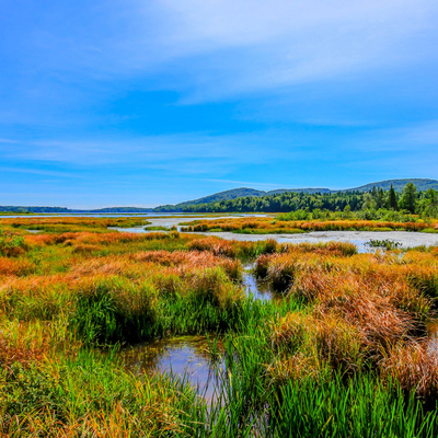 La Haute-Saint-Charles : L’équilibre parfait entre prestige boréal et accessibilité