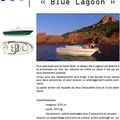 Présentation des produits : Le Blue Lagoon