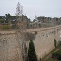 Voir Gérone et embrasser le cul de la Lionne