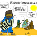 Mali, Tombouctou, les islamistes  détruisent le patrimoine culturel