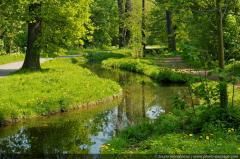 BALLADE AU BOIS PASSANT