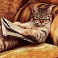 le chat-lecteur