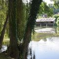 En balade à Lavardin (Loir-et-Cher) le 24 juillet 2024 (2)