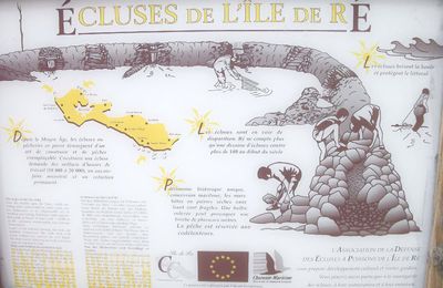 Juin 2011 - L'Ile de Ré