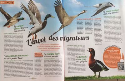 L'envol des migrateurs