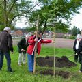 EFFRY : LA TRADITION RÉPUBLICAINE DE L’ARBRE DE LA LIBERTÉ PÉRENNISÉE.