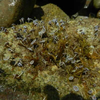 journée d'été 2013