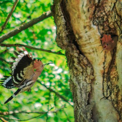 [JUIN 2015] Soleils divers à l'approche de l'été et autres belles rencontres