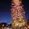 MARCHE DE NOEL A STRASBOURG