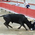 3ème journée du Gland d'Or aux arènes de Montfrin