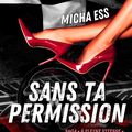 Chronique de Sans ta permission de Micha Ess 