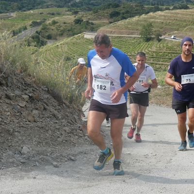 Trail du brigadier 2025