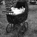 FÊTE DE L'AGRICULTURE EN VENDEE