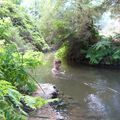 Rotorua, pays des volcans