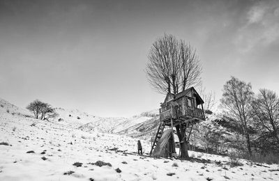 La Maison des feuilles - paysage