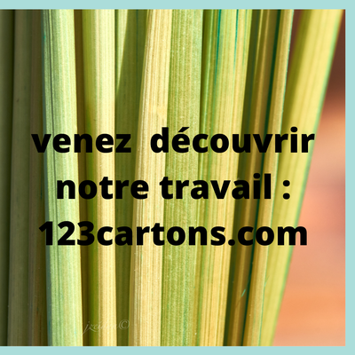 123 carton, paille & cie