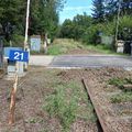 Démaillage du réseau ferroviaire : la grande liquidation des itinéraires alternatifs
