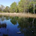 Le mystérieux Lac Noir, au pied du Granier