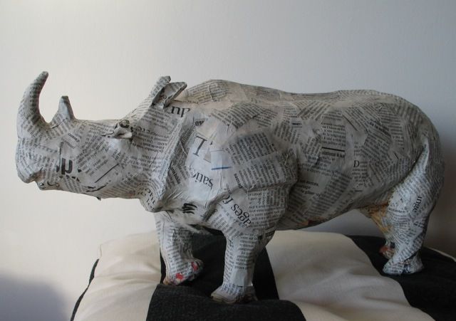 Rhinocéros en papier, MCG.